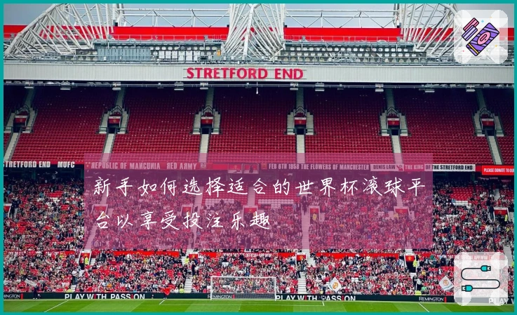 新手如何选择适合的世界杯滚球平台以享受投注乐趣