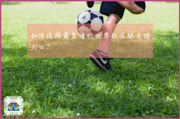 如何选择最靠谱的世界杯买球竞猜入口？