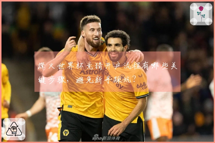烽火世界杯竞猜开户流程有哪些关键步骤，避免新手踩坑？