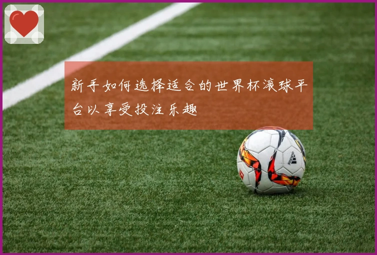 新手如何选择适合的世界杯滚球平台以享受投注乐趣