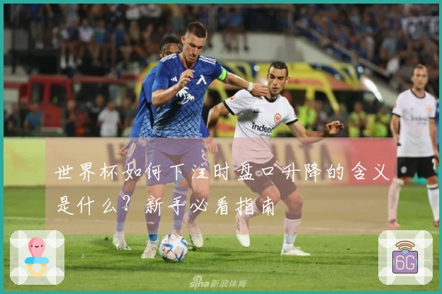 世界杯如何下注时盘口升降的含义是什么？新手必看指南