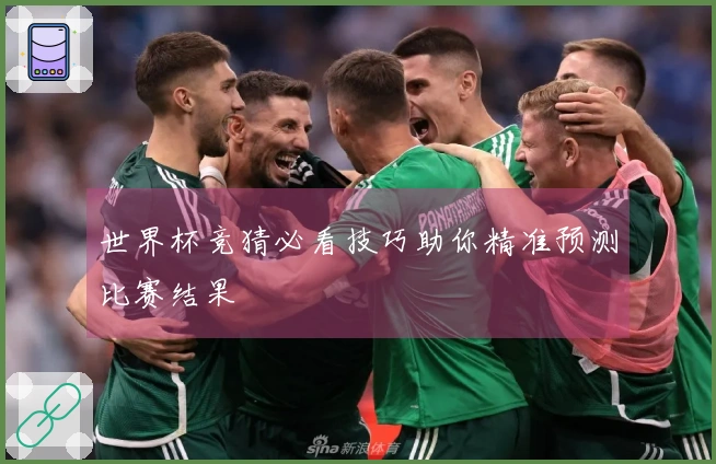 世界杯竞猜必看技巧助你精准预测比赛结果