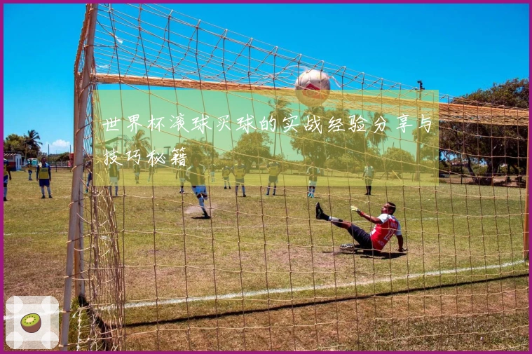 世界杯滚球买球的实战经验分享与技巧秘籍