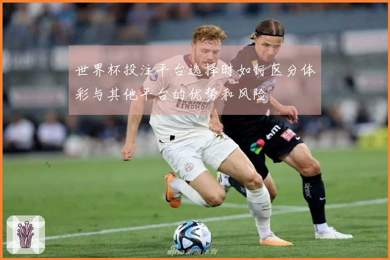 世界杯投注平台选择时如何区分体彩与其他平台的优势和风险