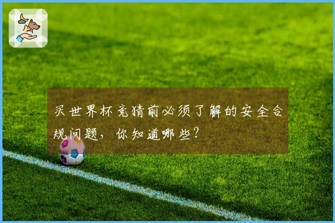 买世界杯竞猜前必须了解的安全合规问题，你知道哪些？