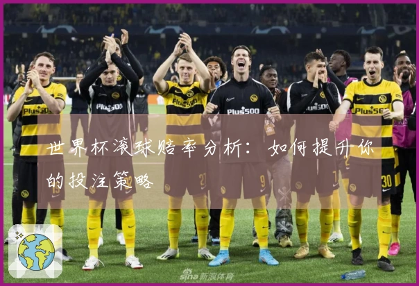 世界杯滚球赔率分析:如何提升你的投注策略