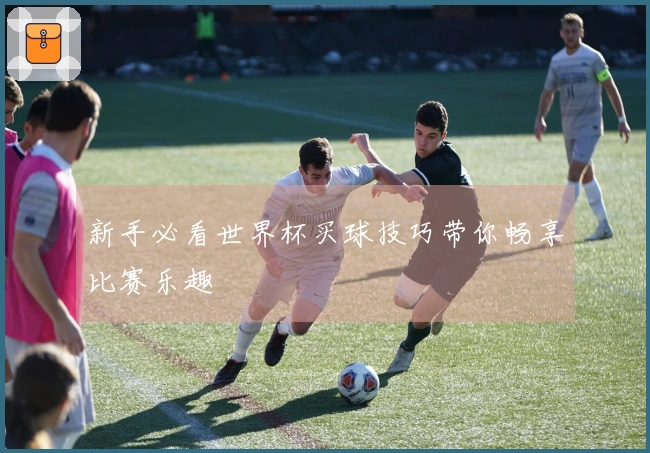 新手必看世界杯买球技巧带你畅享比赛乐趣