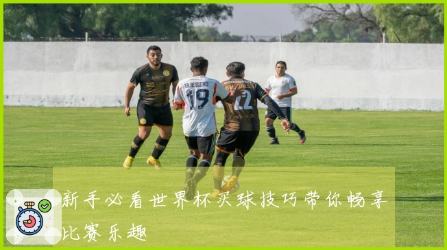 新手必看世界杯买球技巧带你畅享比赛乐趣