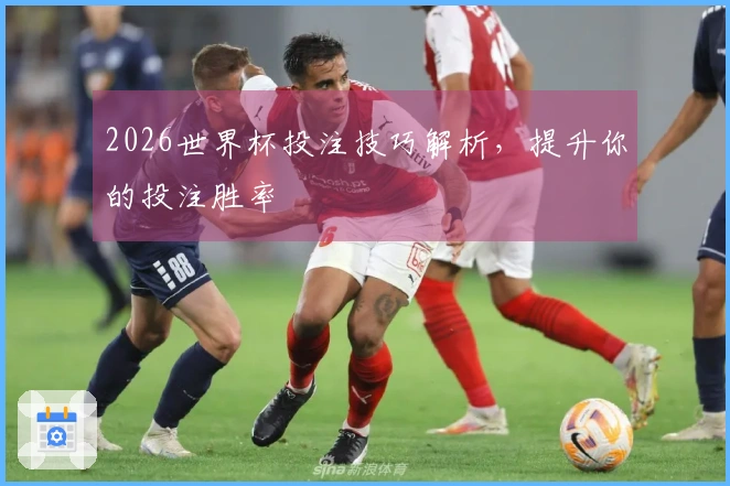 2026世界杯投注技巧解析，提升你的投注胜率