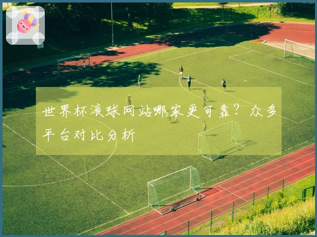 世界杯滚球网站哪家更可靠？众多平台对比分析