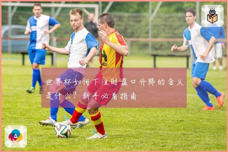 世界杯如何下注时盘口升降的含义是什么？新手必看指南