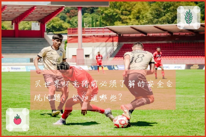 买世界杯竞猜前必须了解的安全合规问题,你知道哪些?