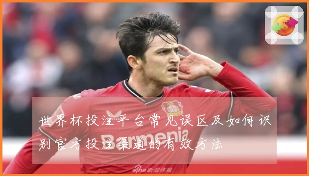 世界杯投注平台常见误区及如何识别官方投注渠道的有效方法
