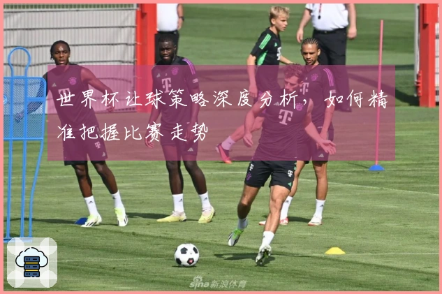世界杯让球策略深度分析，如何精准把握比赛走势